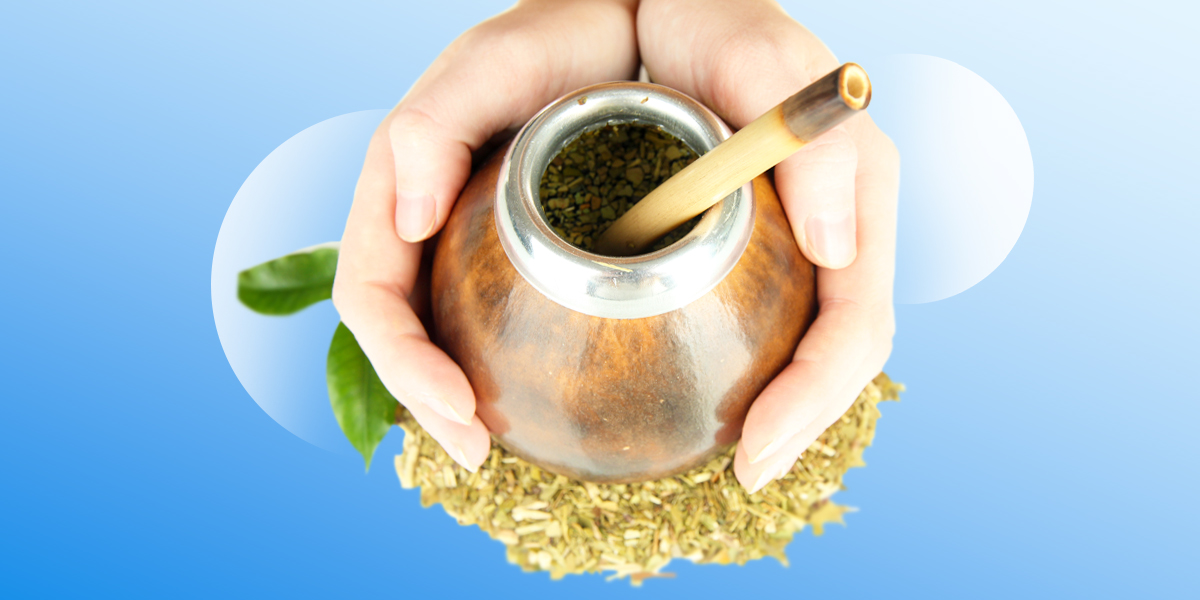Hands holding yerba mate in blue background