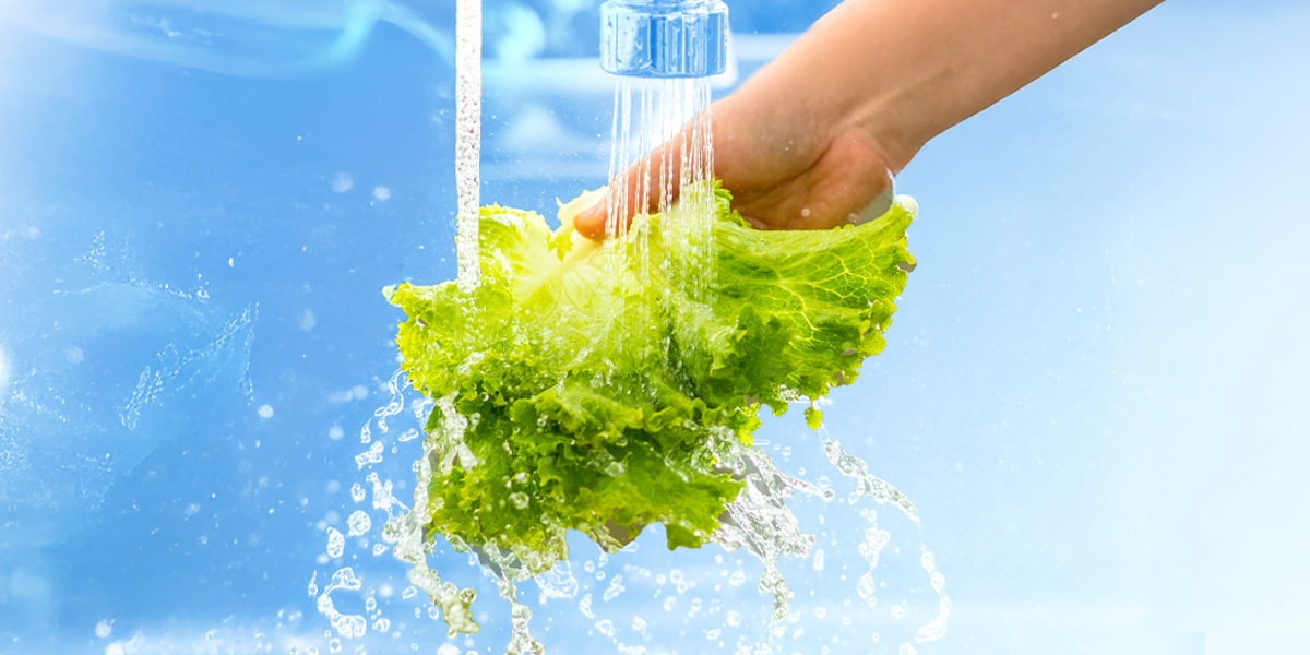 Hand washing greens under tap water