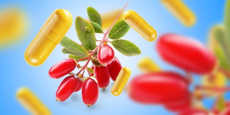 Berberine & Weight Loss: Hype vs. Science | WellnessPulse