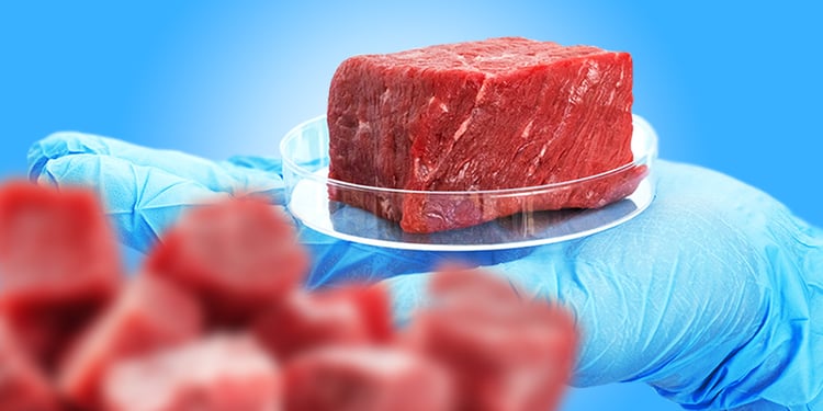 Fda Lab Grown Meat: Revolutionary Future of Clean Protein