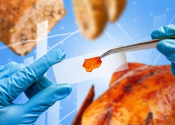 Collage of hands with blue gloves holding turkey on a microscope slide, blurred turkey roast