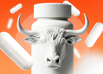 A white bottle of supplement with an ox head on it on an orange background