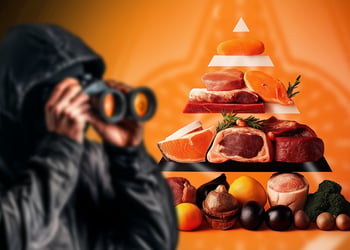 A person with binoculars looking at the Food Pyramid on the orange background.