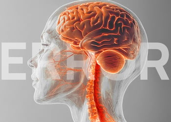 Transparent head with orange brain with error text on it