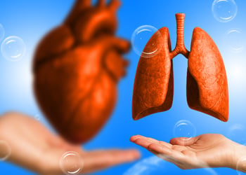 Two hands holding heart and lungs blue background with bubbles