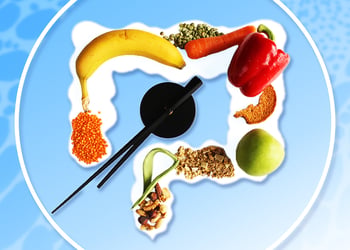 Illustration of various foods in an intestine, set against a blue background