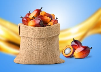 palms in a bag