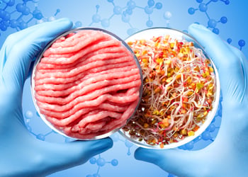 Hands holding two petri dishes - one with raw meat and other with vegetables