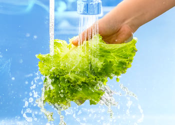 Hand washing greens under tap water