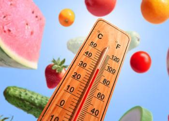 A thermometer showing high temperature and watermelons and cucumbers on a background