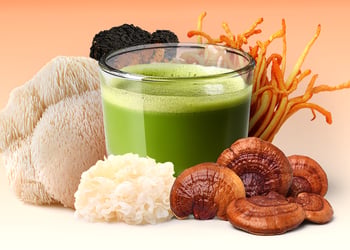 Matcha surrounded by mushrooms