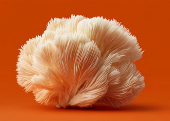 Can Lion’s Mane Improve Cognitive Function?