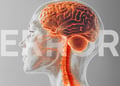 Transparent head with orange brain with error text on it