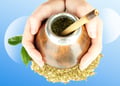 Hands holding yerba mate in blue background