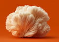 Can Lion’s Mane Improve Cognitive Function?